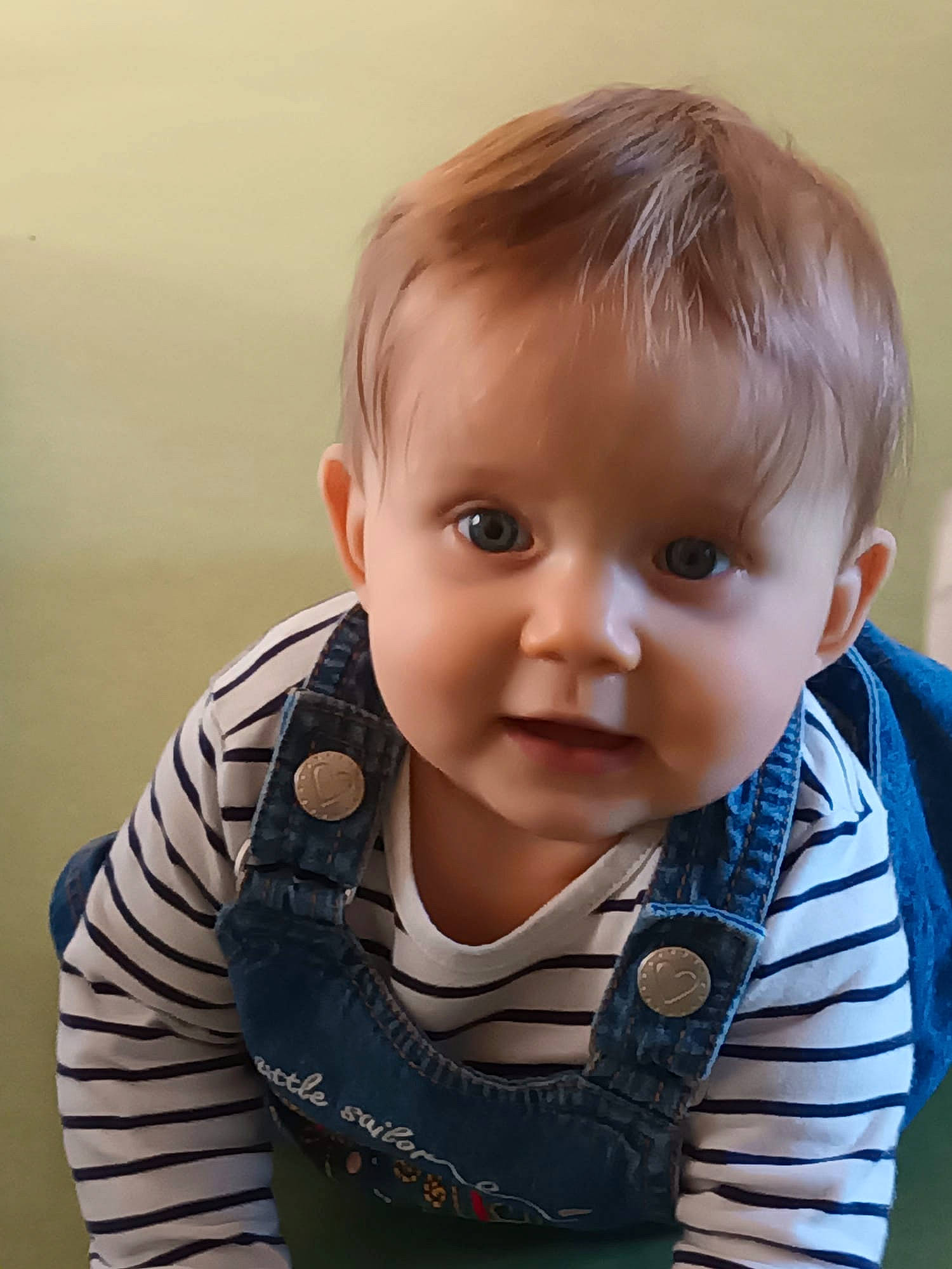 Léonie participe au concours pour gagner de l'argent avec cette photo : baby, baby_toddler_clothing, cheek, child, clothing, collar, comfort, ear, eye, eyebrow, eyelash, grass, happy, human_body, iris, lip, nose, person, sitting, sleeve