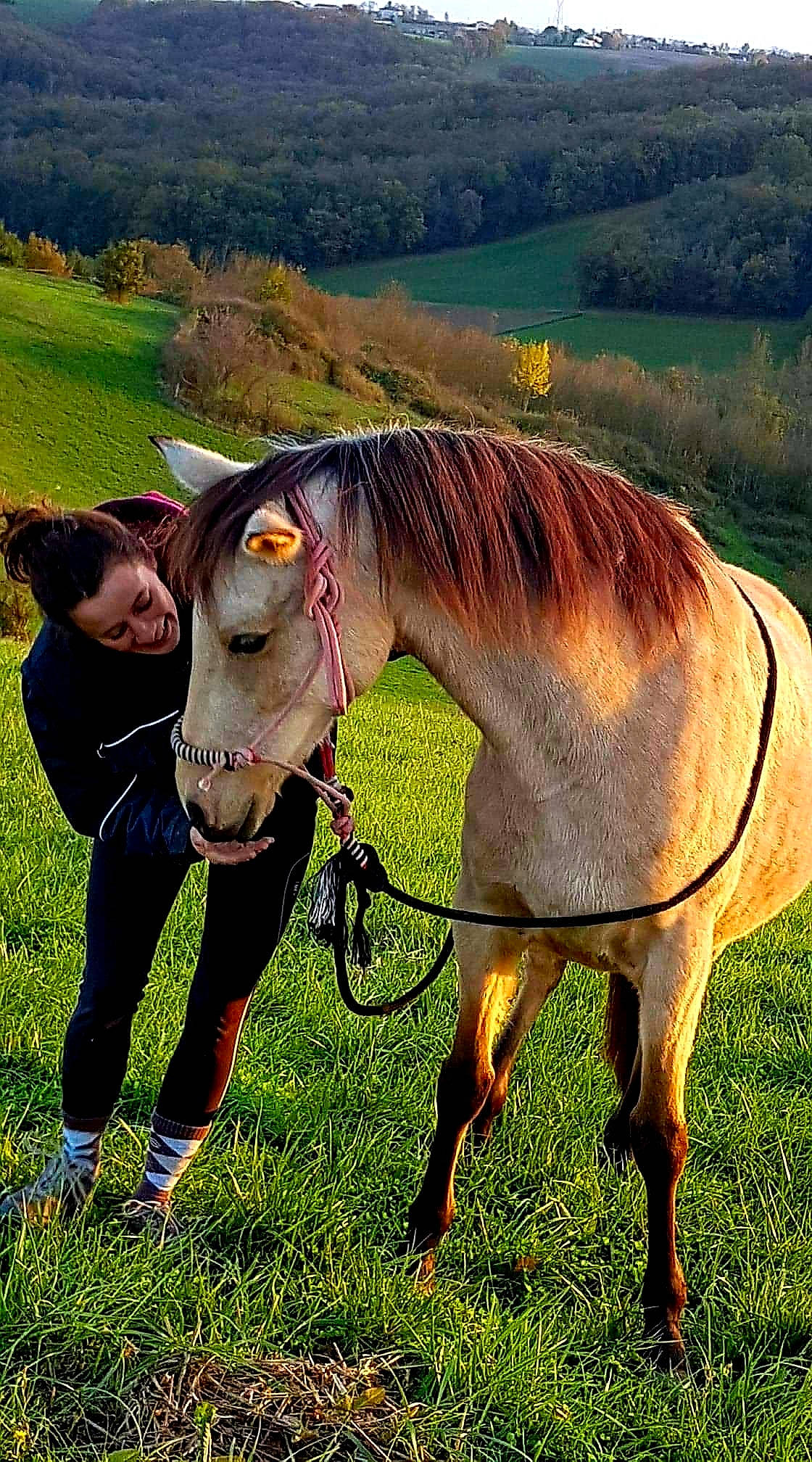 Vendetta participe au concours pour gagner de l'argent avec cette photo : bridle, farm, fauna, field, grass, grassland, grazing, green, horse, horse_like_mammal, horse_tack, livestock, mane, mare, meadow, mustang_horse, pasture, person, rural_area, stallion