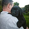 Storm participe au concours pour gagner de l'argent avec cette photo : puppy, dog, black_dog, man, person, outdoor, backyard, garden, portrait, close_up, shoulder, carrying, pet, floppy_ears, brown_eyes, fur, grass, trees, fence, daylight
