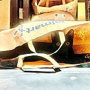 Elvis Presley joined the competition — help win amazing prizes! animal, bag_handle, black_cat, cat, curious, cute, domestic_cat, feline, floor, hiding, indoor, paper_bag, paw, pet, playful, resting, shadow, tile_floor, walmart, wide_eyes