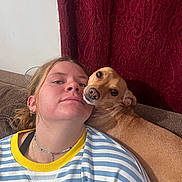 Giuseppe joined the competition — help win amazing prizes! person, dog, couch, indoor, striped_clothing, curtain, brown_dog, face, portrait, relaxing, casual, earrings, necklace, light_skin, brown_hair, pet, companion, closeup, home, comfort