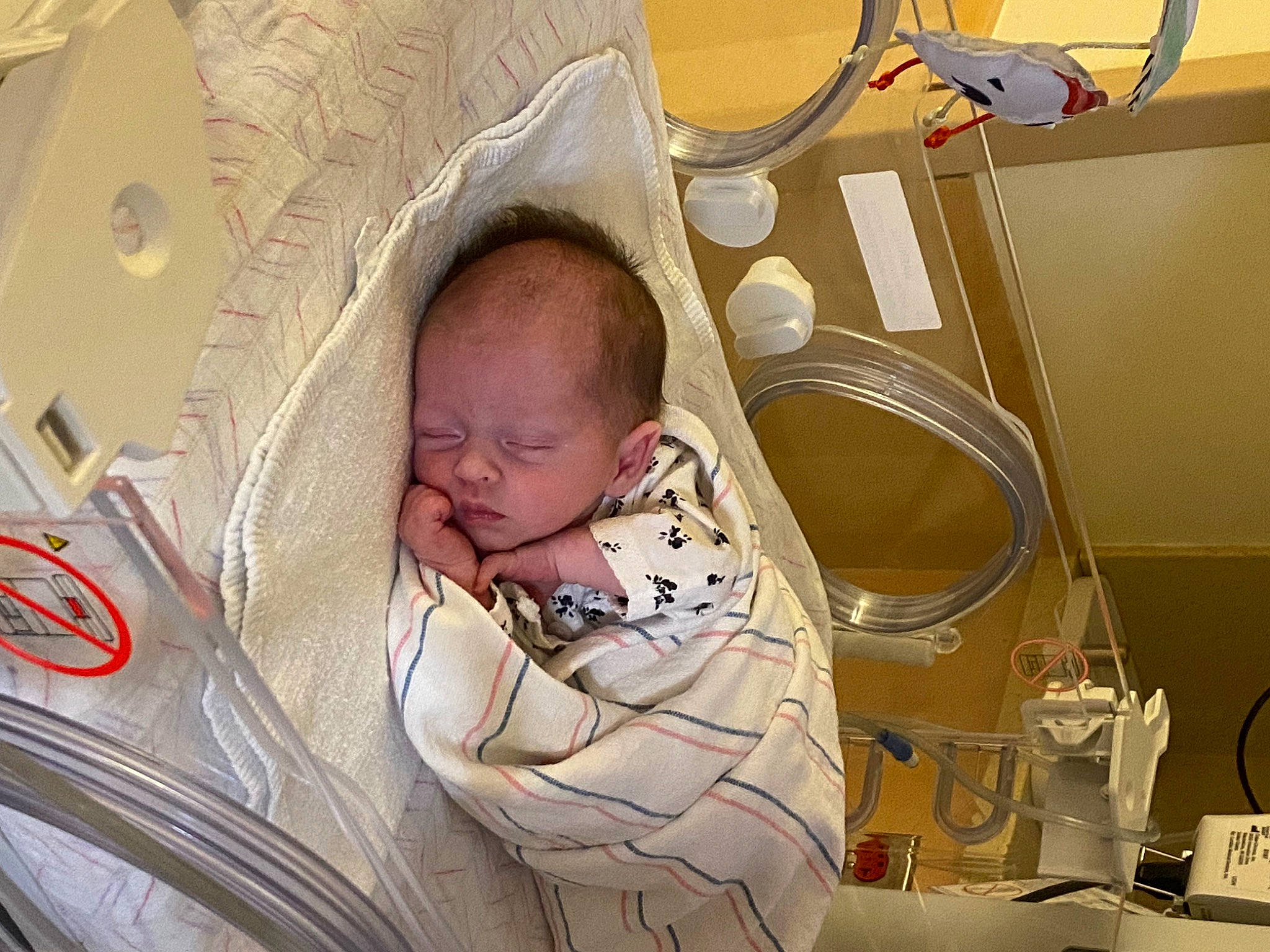 Laila joined the competition — help win amazing prizes! baby, baby_products, child, clinic, comfort, ear, event, health_care, hospital, infant_bed, linens, medical, medical_equipment, medical_procedure, mouth, patient, person, room, service, skin