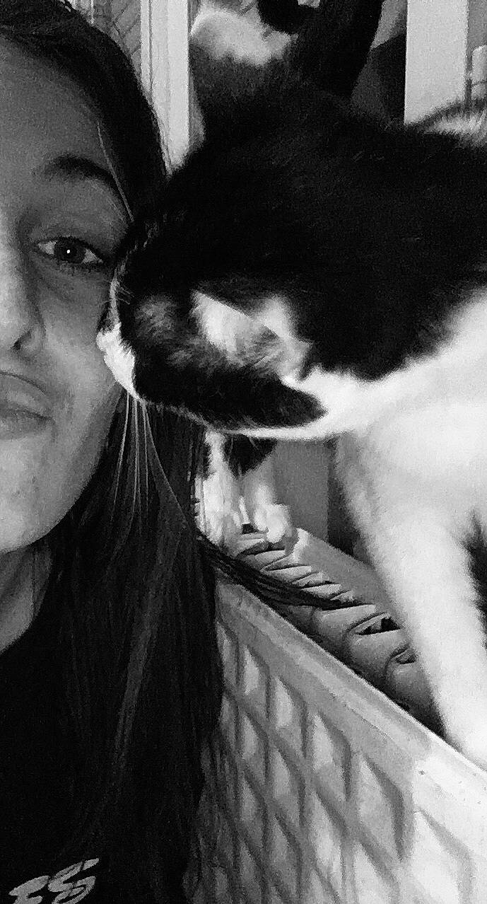 Princesse participe au concours pour gagner de l'argent avec cette photo : black_and_white, black_hair, carnivore, cat, ear, felidae, fur, gesture, kitten, long_hair, monochrome, monochrome_photography, nose, photography, small_to_medium_sized_cats, snapshot, snout, style, whiskers