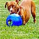 Zoey