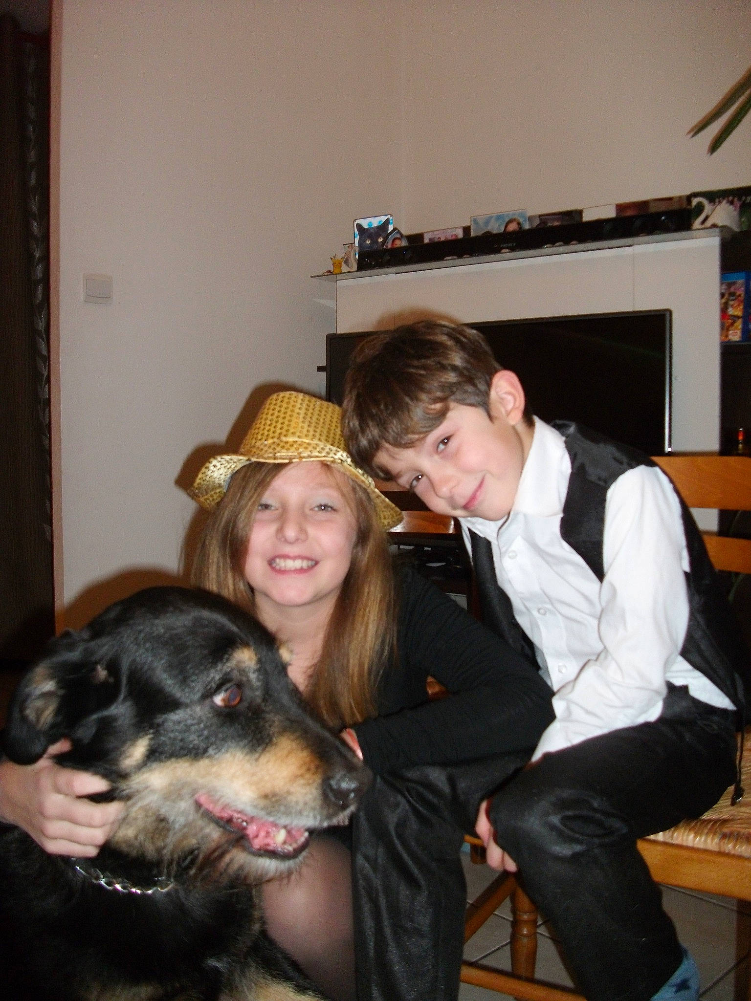 Pitt participe au concours pour gagner de l'argent avec cette photo : canidae, carnivore, dog, dog_breed, guard_dog, headwear, joy, person