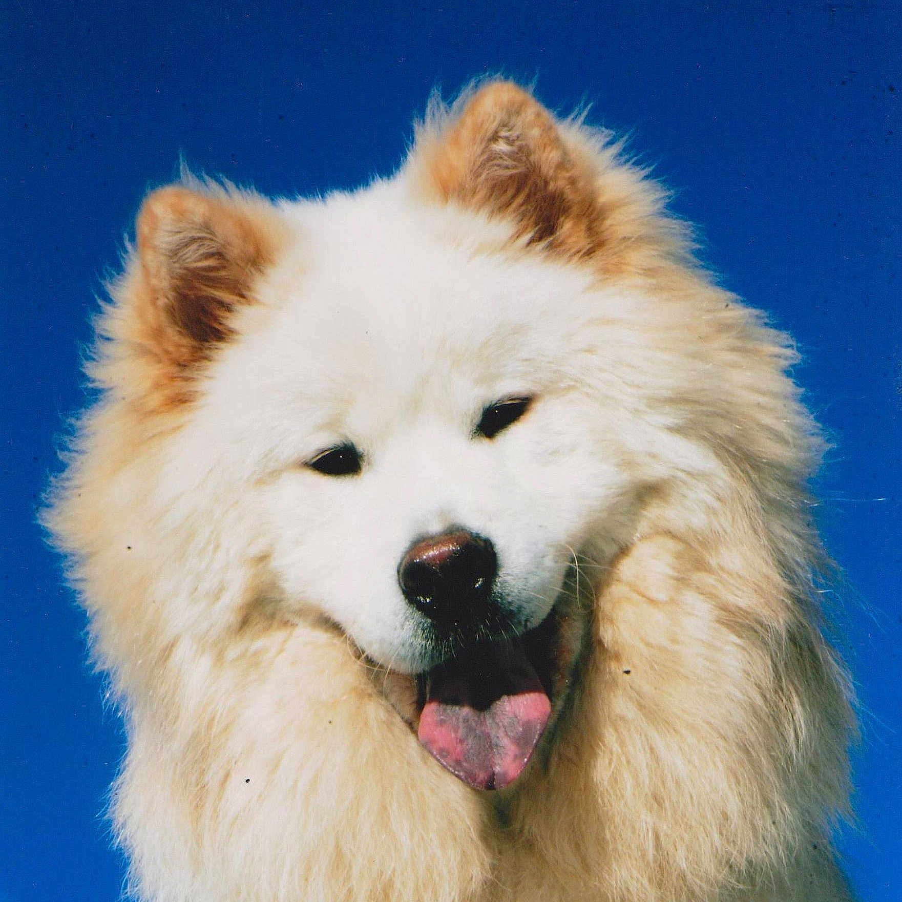 Valentin