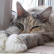 Tilly is registered to the contest to win money with this photo: