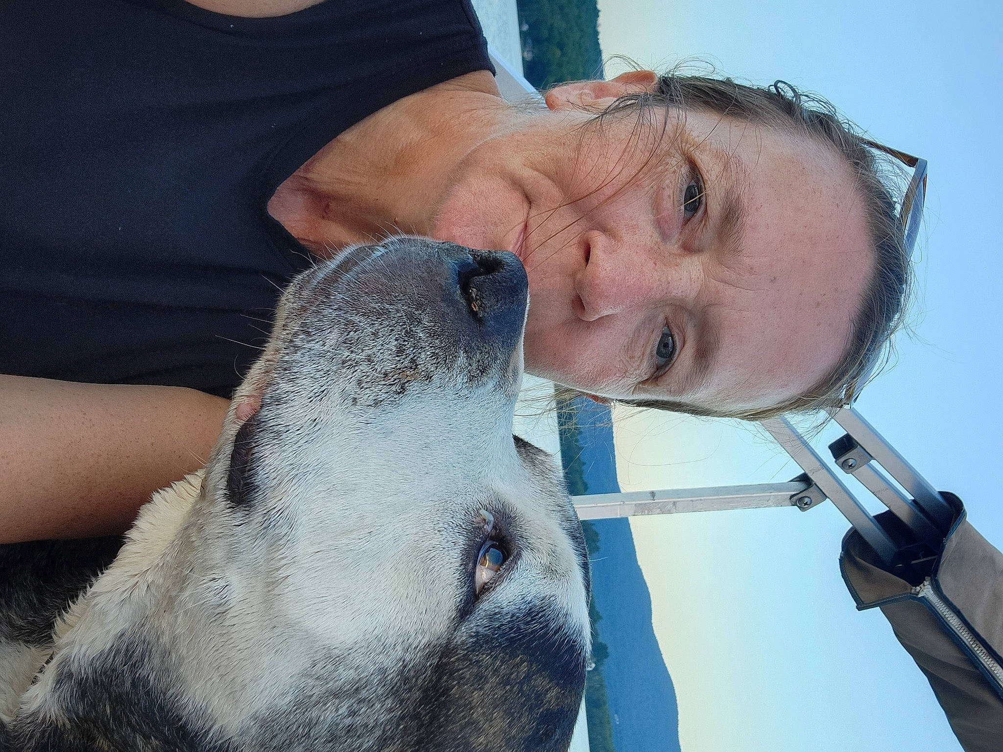 Titan joined the competition — help win amazing prizes! canidae, carnivore, companion_dog, dog_breed, ear, elbow, eyelash, fur, gesture, happy, jaw, marine_mammal, sky, smile, sporting_group, throat, whiskers, wildlife, wildlife_biologist, wrinkle