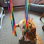 cat, orange_cat, white_cat, ribbons, rainbow_colors, playful, indoor, carpet, cat_furniture, paw, bite, fur, tail, whiskers, ears, toy, pet, animal, cute, curious