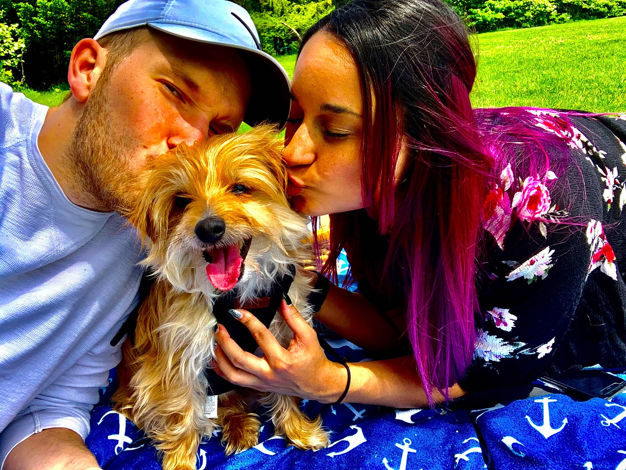 Marley is registered to the contest to win money with this photo: baseball_cap, beard, canidae, cap, carnivore, companion_dog, dog, dog_breed, event, fawn, fun, gesture, happy, hat, leisure, people_in_nature, smile, sporting_group, sunglasses, toy_dog