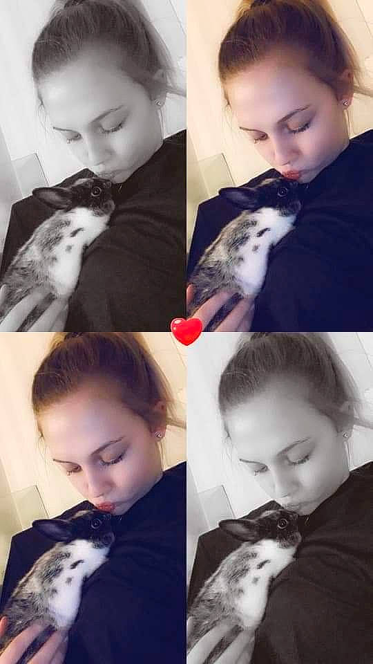 Rox participe au concours pour gagner de l'argent avec cette photo : art, baby, cat, cheek, child, collage, ear, face, fur, hair, hand, head, human, love, neck, nose, people, photograph, siberian_husky, toddler