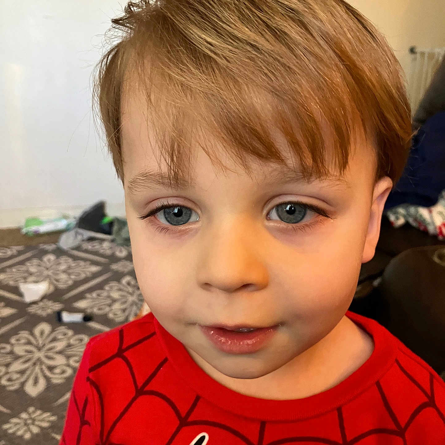Wilde joined the competition — help win amazing prizes! blue_eyes, boy, carpet, casual_clothing, child, childhood, closeup, curious, expression, face, floor, hair, home, indoor, patterned_rug, person, portrait, red_shirt, spiderman, young