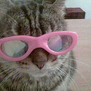 Titouf a rejoint le concours — aidez-le/la à gagner de superbes lots !