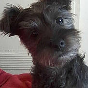 Happy a rejoint le concours — aidez-le/la à gagner de superbes lots !