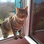 Titeuf participe au concours pour gagner de l'argent avec cette photo :