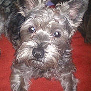 Happy a rejoint le concours — aidez-le/la à gagner de superbes lots !