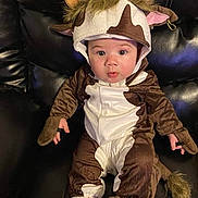 Denver joined the competition — help win amazing prizes! baby, child, costume, cow_costume, brown, white, horns, ears, cute, infant, leather_couch, sitting, face, eyes, hands, feet, plush, portrait, indoor, curious