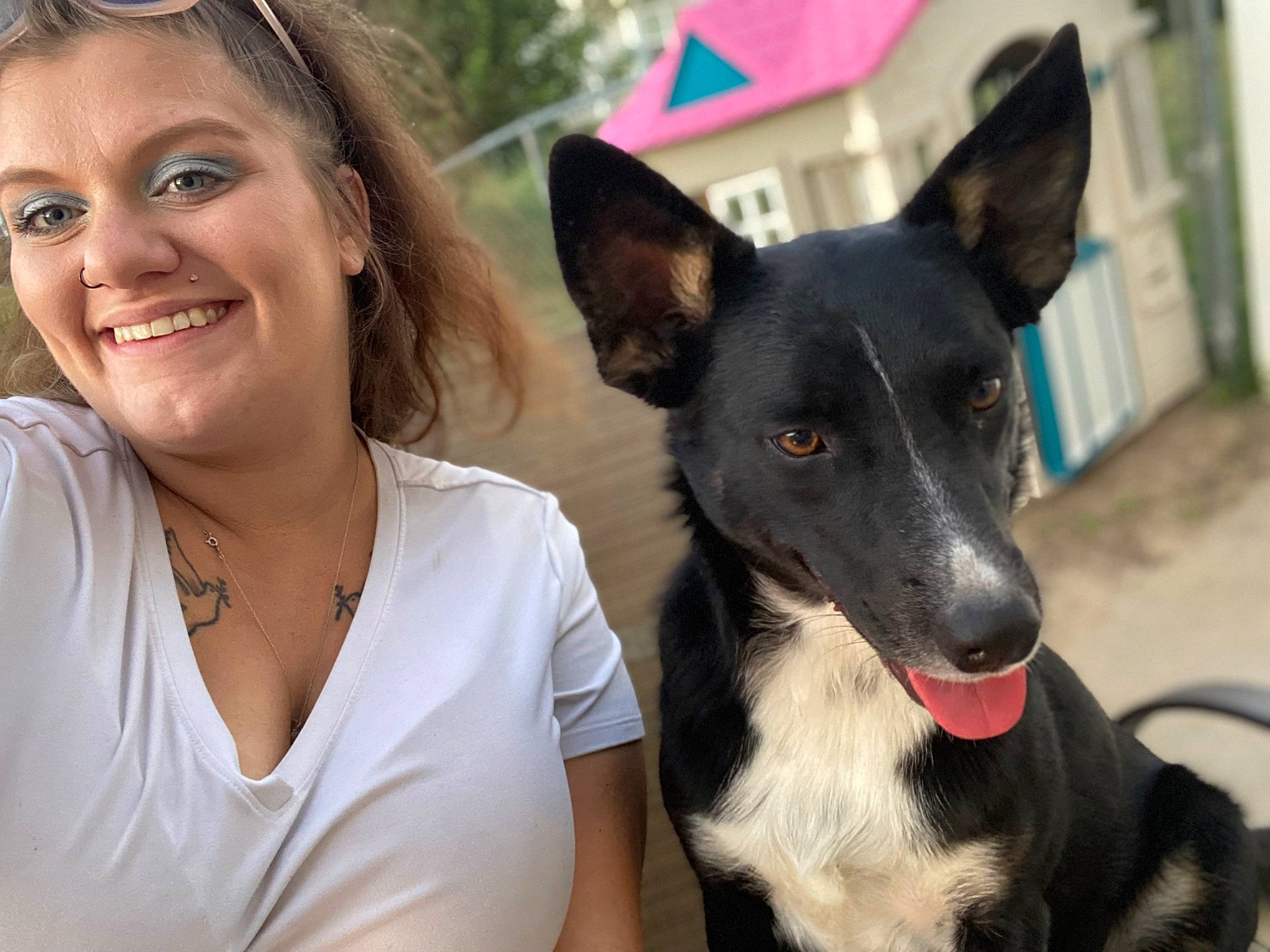 Jasmine is registered to the contest to win money with this photo: canidae, carnivore, collar, companion_dog, dog, dog_breed, dog_supply, event, eyewear, happy, herding_dog, jewellery, mammal, necklace, smile, snout, sporting_group, vertebrate, working_animal, working_dog