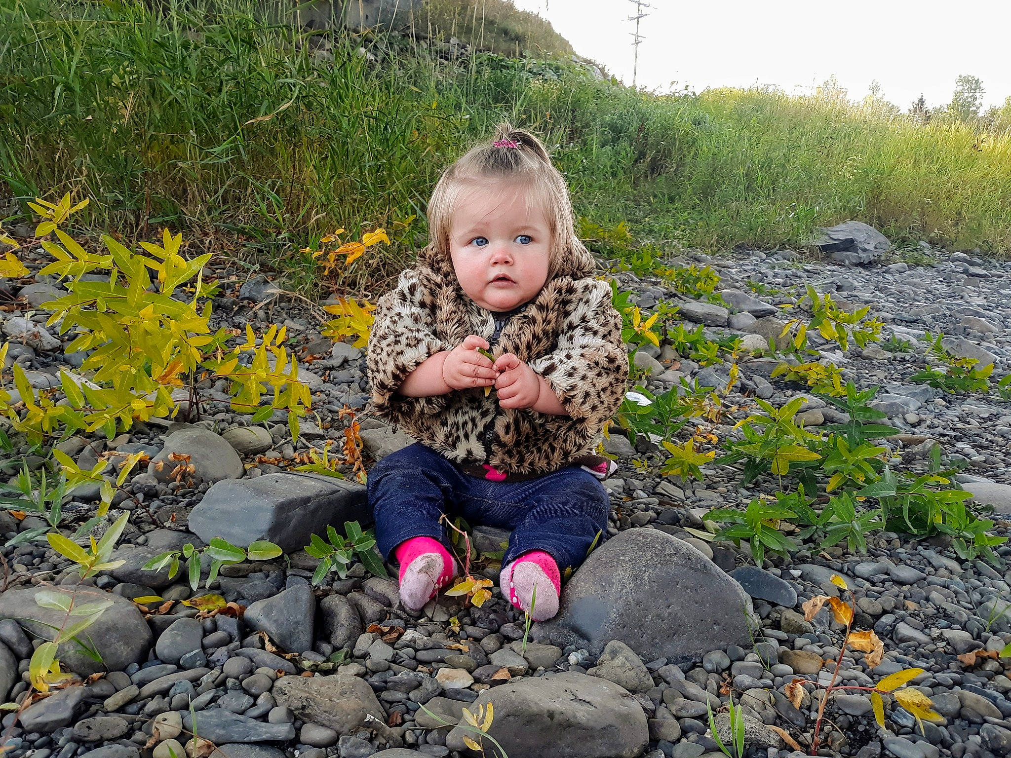 Aurora joined the competition — help win amazing prizes! autumn, child, fawn, grass, gravel, groundcover, headwear, leaf, leisure, pebble, person, photography, plant, play, rock, sitting, soil, spring, toddler, tundra
