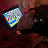 cat, black_cat, blanket, tablet, cartoon, plush_toy, bedroom, dim_lighting, cozy, indoor, feline, relaxing, soft_texture, animal, whiskers, paw, colorful, screen, toy, resting