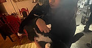 Francis is registered to the contest to win money with this photo: black_cat, blur, casual_clothing, cat, curly_hair, dining_chair, holding, home, indoor, kitchen, lamp, magnet, painting, paper, person, plant, refrigerator, soft_light, white_paws, wood_floor