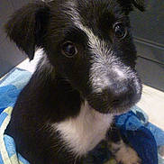 Càline a rejoint le concours — aidez-le/la à gagner de superbes lots !