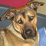 Tonnerre a rejoint le concours — aidez-le/la à gagner de superbes lots !