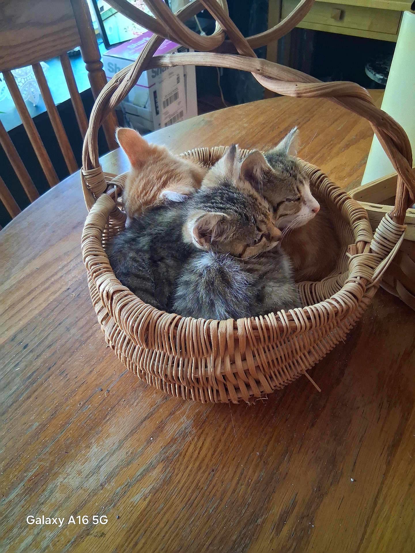 Butter Cup