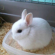 Squikie participe au concours pour gagner de l'argent avec cette photo :