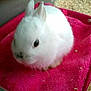 Squikie participe au concours pour gagner de l'argent avec cette photo :