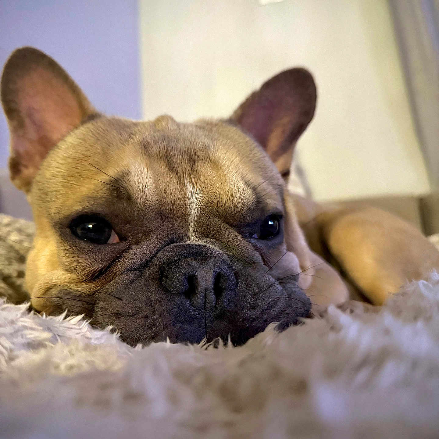 Pudge
