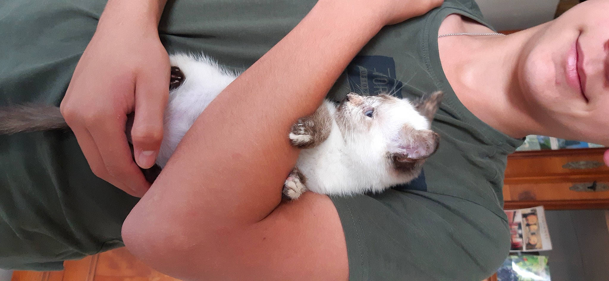 Amma a rejoint le concours — aidez-le/la à gagner de superbes lots ! fawn, felidae, finger, fur, gesture, hamster, hand, mammal, marsupial, nail, paw, rat, rodent, small_to_medium_sized_cats, snout, vertebrate, whiskers, wildlife, wildlife_biologist, wrist