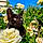 Zeytin