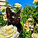Zeytin