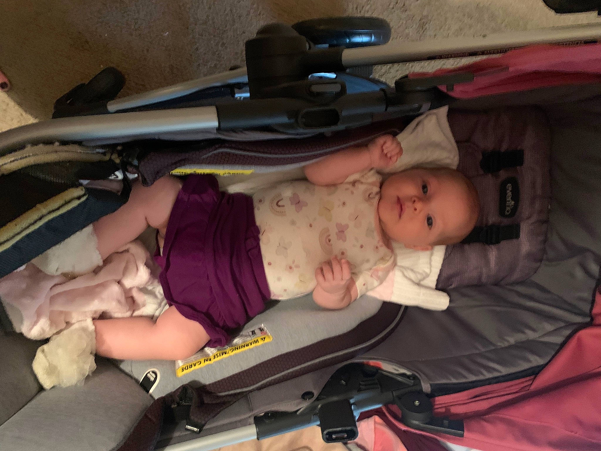 Adelaide joined the competition — help win amazing prizes! air_gun, auto_part, baby, baby_carriage, baby_products, baby_safety, baby_toddler_clothing, car_seat, child, comfort, lap, person, product, room, sitting, toddler