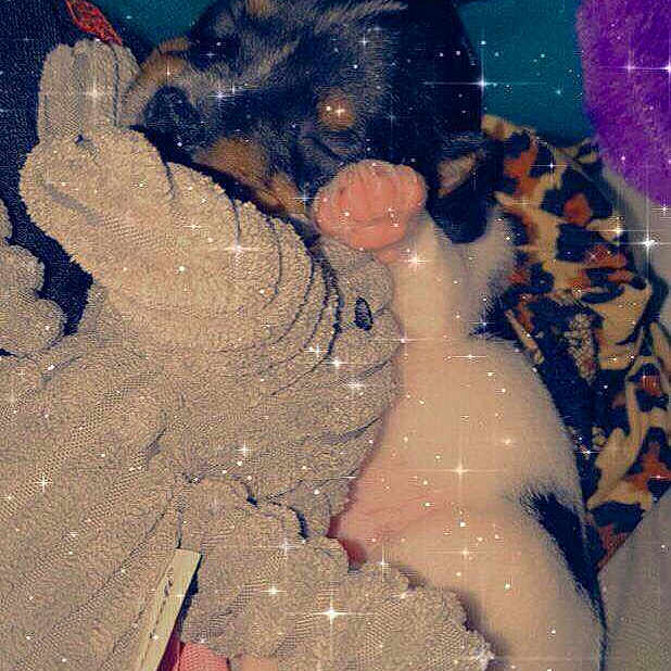 Xena
