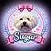 Sugar