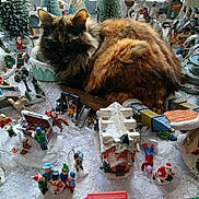Fifille participe au concours pour gagner de l'argent avec cette photo : cat, tortoiseshell_cat, miniature_village, snow, christmas_scene, holiday_decor, train_set, snowman, miniature_figures, miniature_trees, toy_houses, festive, winter, decorations, indoors, cozy, animal, pet, fluffy, holiday