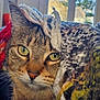 cat, tabby_cat, green_eyes, knitted_blanket, colorful_yarn, indoor, window, natural_light, close_up, curious, cozy, pet, animal, feline, fur, whiskers, portrait, houseplant, background_blur, daylight