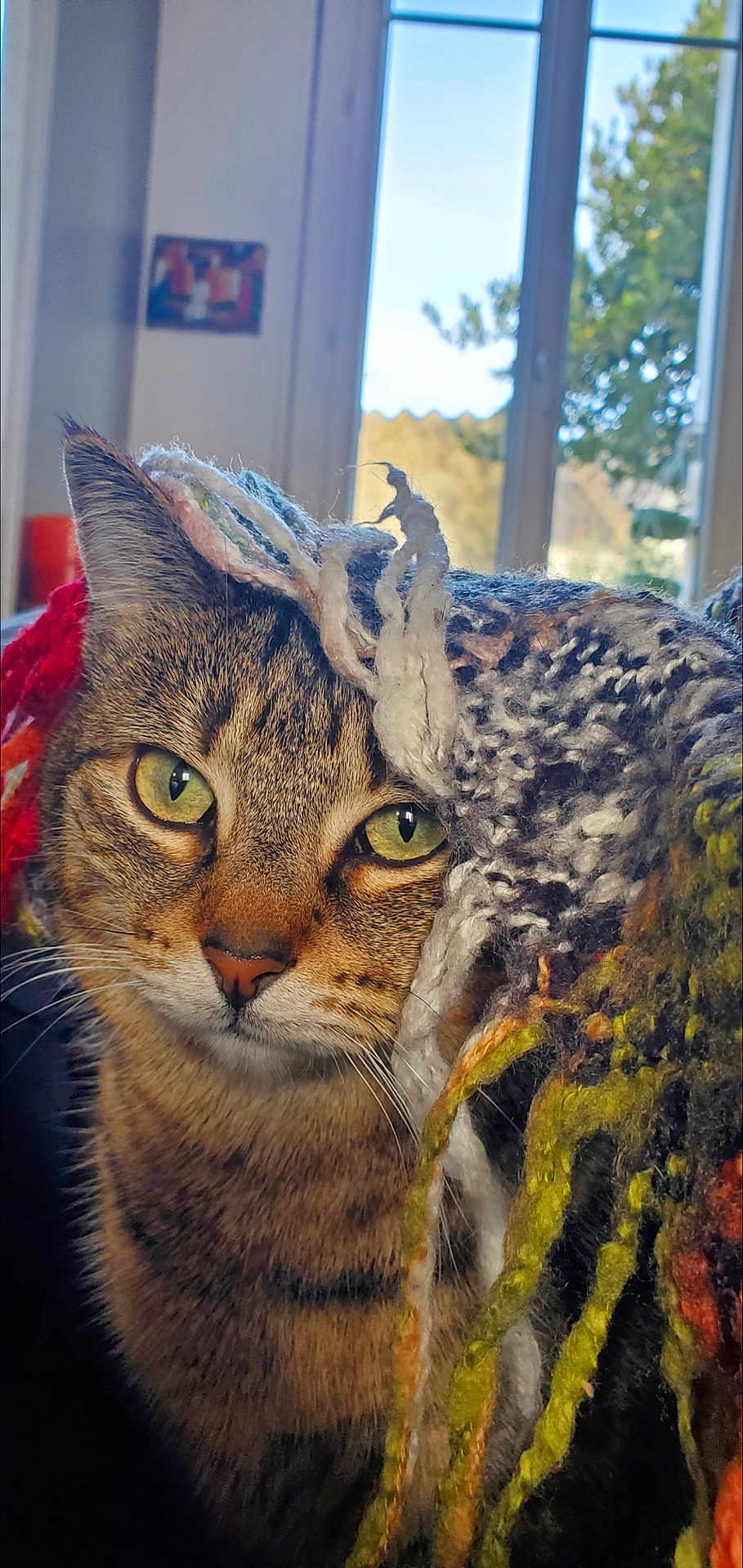 Lili