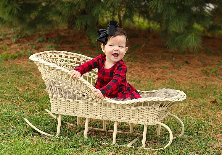 Cathryn is registered to the contest to win money with this photo: cart, fun, grass, grass_family, happy, lawn, leisure, mammal, people_in_nature, person, plant, sitting, smile, tire, toddler, tree, vehicle, vertebrate, wheel, wicker