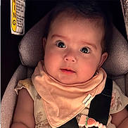 Hallie is registered to the contest to win money with this photo: baby, bib, car_seat, child, closeup, clothing, curious, cute, fabric, face, head, indoor, infant, pacifier_clip, person, pink, seatbelt, soft_lighting, straps, wide_eyes