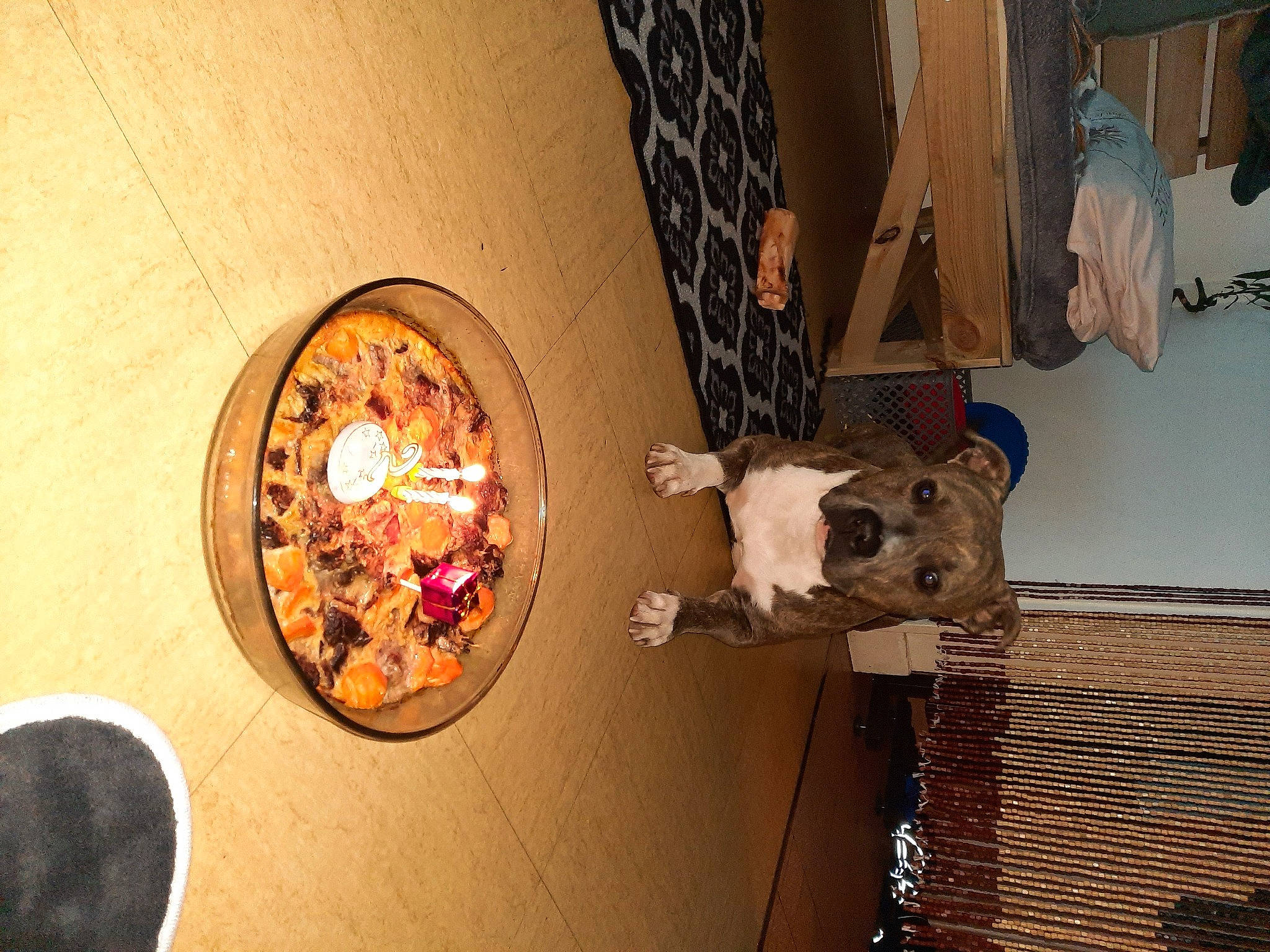 Tchek participe au concours pour gagner de l'argent avec cette photo : art, brown, building, ceiling, circle, curtain, door, floor, flooring, hardwood, home_accessories, home_door, room, sculpture, shadow, tints_and_shades, visual_arts, wall, window, wood