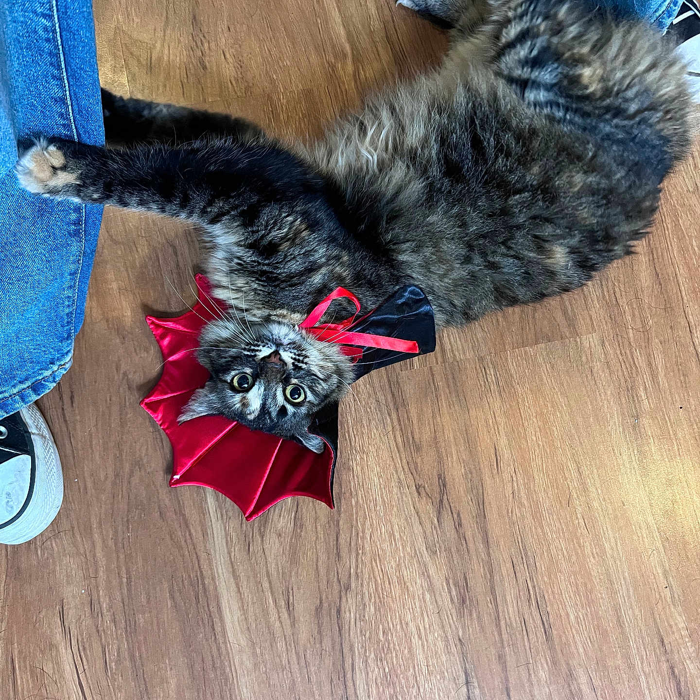 Artemis