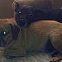 Lincoln is registered to the contest to win money with this photo: