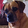Lincoln is registered to the contest to win money with this photo: