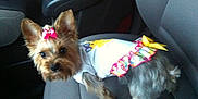 Princess Paisley Rae is registered to the contest to win money with this photo:
