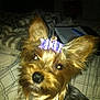 Princess Paisley Rae is registered to the contest to win money with this photo: