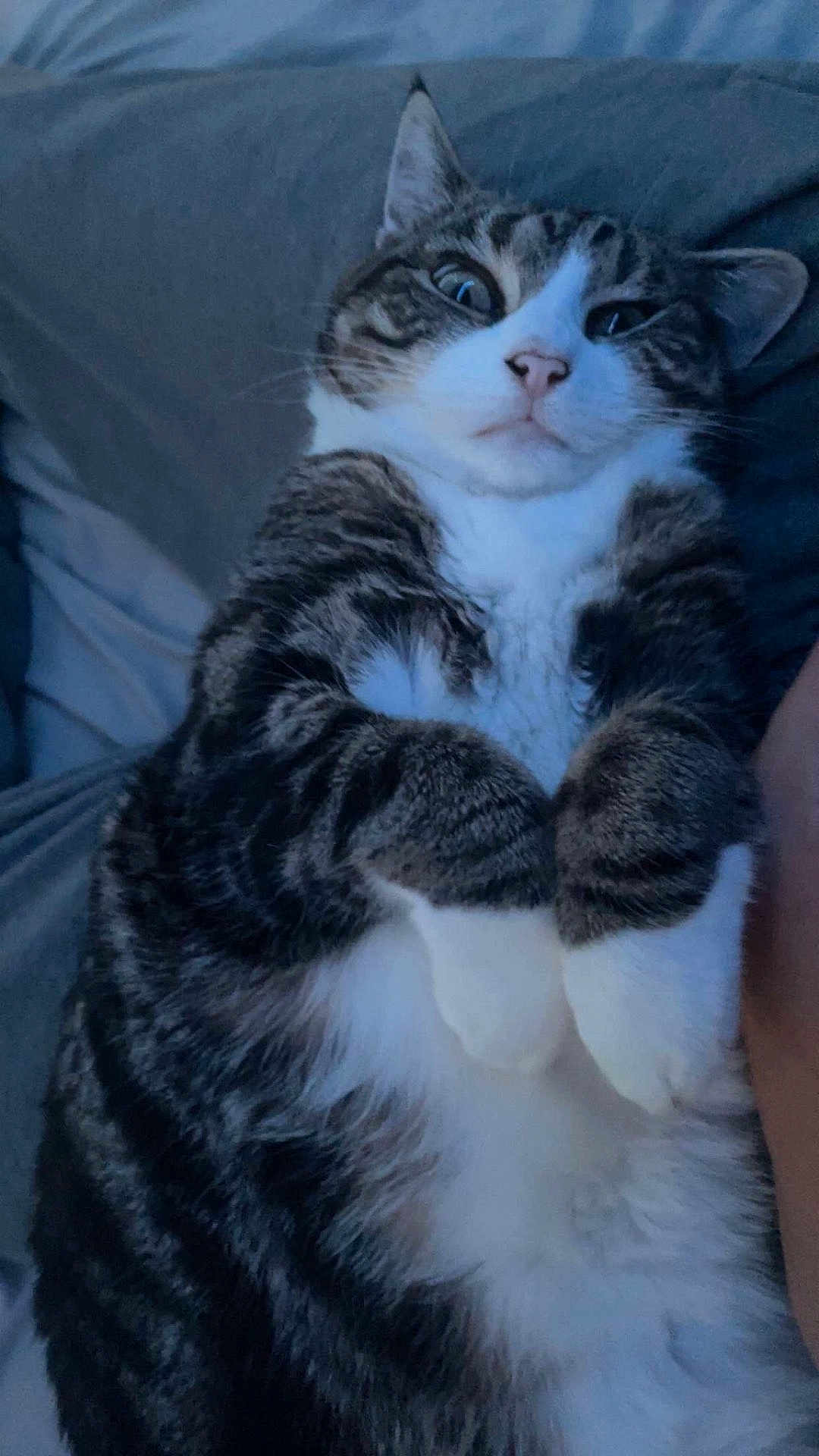 Milly