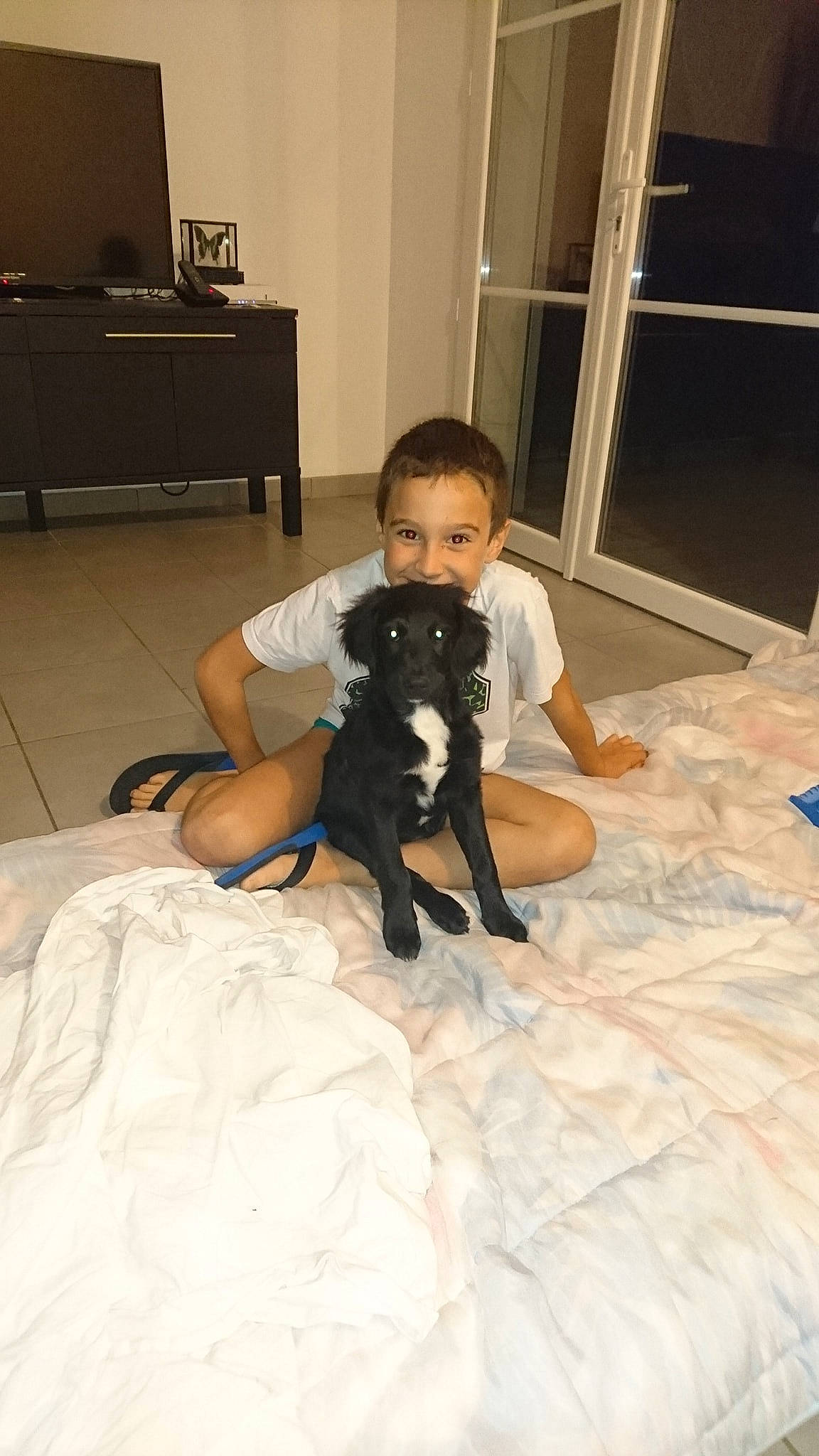 Orion participe au concours pour gagner de l'argent avec cette photo : black, carnivoran, child, dog_like_mammal, finger, floor, flooring, fun, furniture, girl, leg, mammal, person, product, skin, textile, trunk, vertebrate